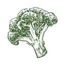 The Natural Nurturer | Delicious, veggie-loaded recipes logo