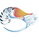 Nautilus