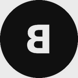 The New Black logo placeholder