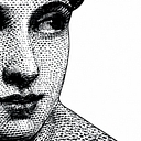 thenewinquiry.com icon