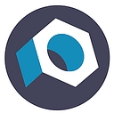The Nut Place Inc logo