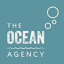 Favicon of Theoceanagency