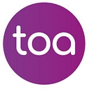 Favicon of The Online Accountant