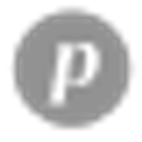 The Pallet Company logo