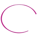 The Pallet Company Ltd. logo