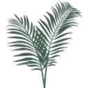 The Palmer Foundation logo