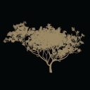 The Park Club logo
