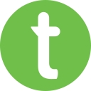 The Payment Group logo