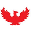 Phoenix Mills logo