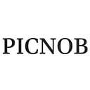 thepicnob.com logo