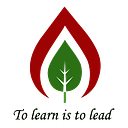 The Pinnacle School logo
