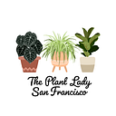 The Plant Lady SF