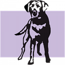 The Ponce Animal Foundation Inc logo