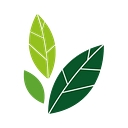The Practice Uk logo