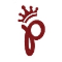 The Priyanka Foundation logo
