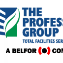 THE PROFESSIONAL GROUP logo