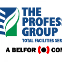 THE PROFESSIONAL GROUP logo