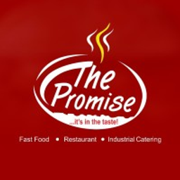thepromisenig.com