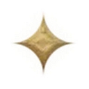 The Promise School logo