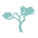 The Retreat Costa Rica logo