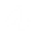 The River Ōpāwaho logo