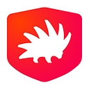 The Roman Guy Tours logo