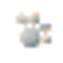 The Ross Foundation Inc logo