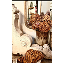 The Rust-Covered Cottage, LLC