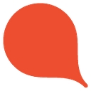 THE SAEM logo