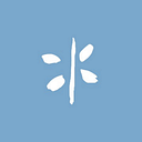 THE SCAN FOUNDATION logo