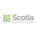 Favicon of The Scotia Group