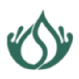 Social Brands USA logo