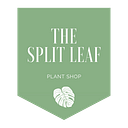 The Split Leaf