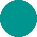 Spring Point Partners Llc logo