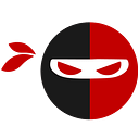 THE STAFFING NINJA