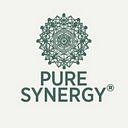 The Synergy Company of