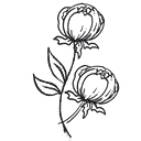thetatteredpew.com icon