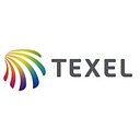 The Texel Group logo