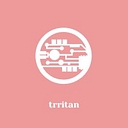Tritan Consulting logo