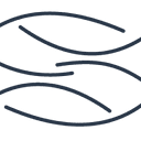 Two Fish Foundation logo