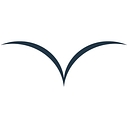 The Veloz Group logo