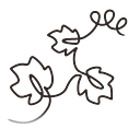 The Veraison Project logo