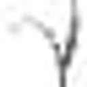 The Vines logo