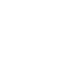 The Vineyard Church Of Central Illinois logo