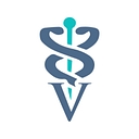 The Webinar Vet logo