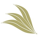 The Willows Foundation Inc logo