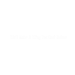 Wing Fellas logo