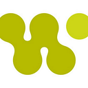 WASHINGTON AREA WOMEN'S FOUNDATION logo