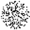theworldwidetribeshop.com icon