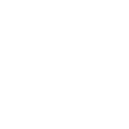 The Wyt Space LLC logo